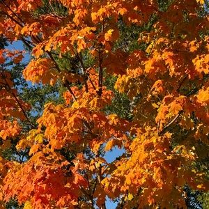 Meet your Posher, Joel